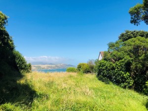 Property for sale 130 Motuhara Road