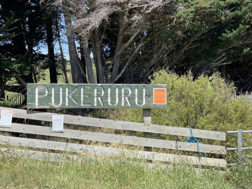 1530-coast-rd-pongoroa