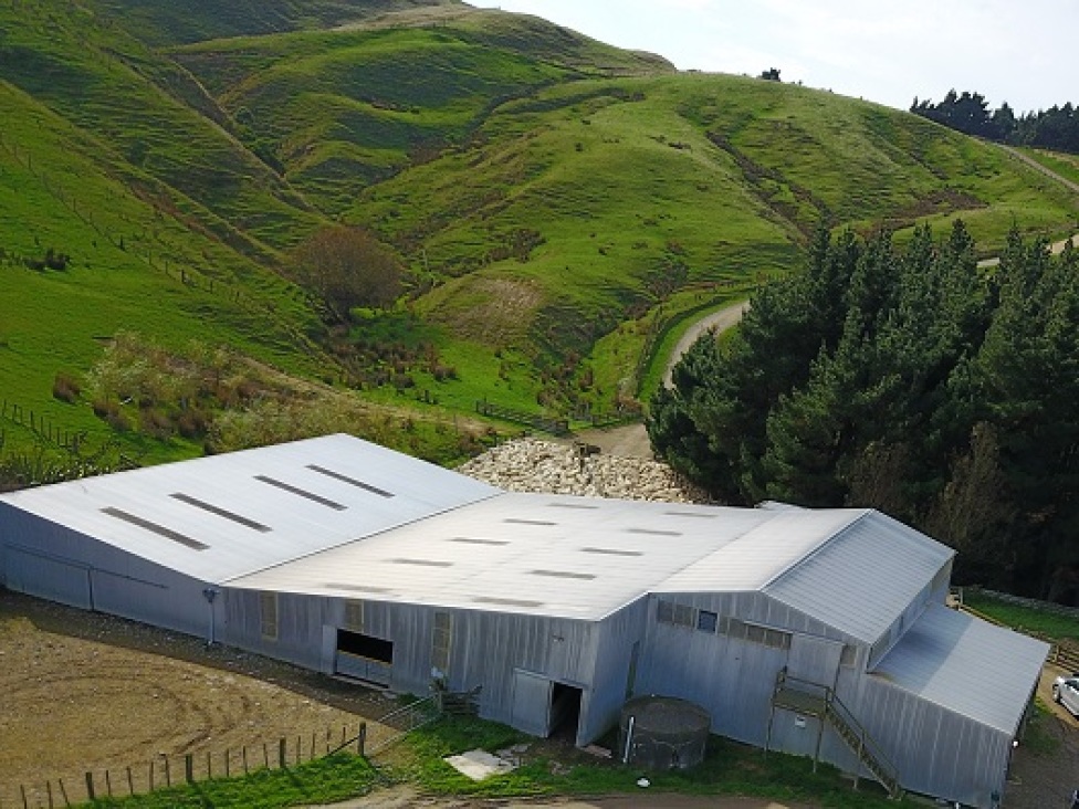 384-rimu-rd-pongoroa