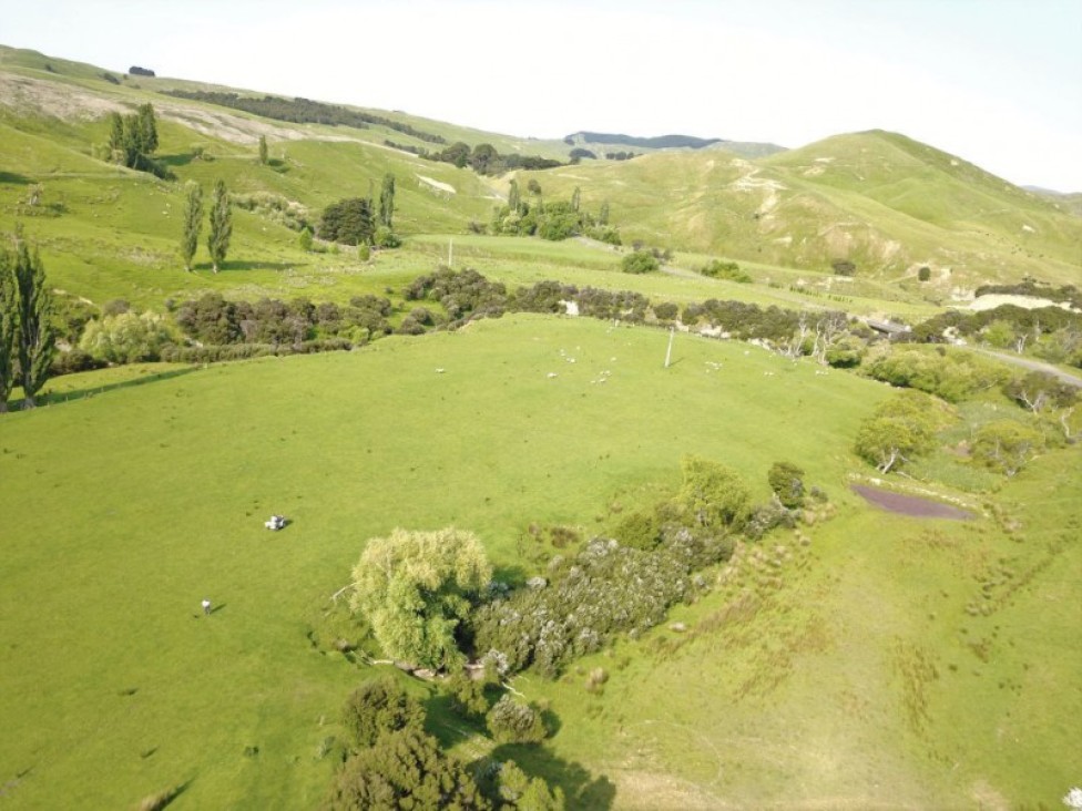 11526-route-52-pongoroa