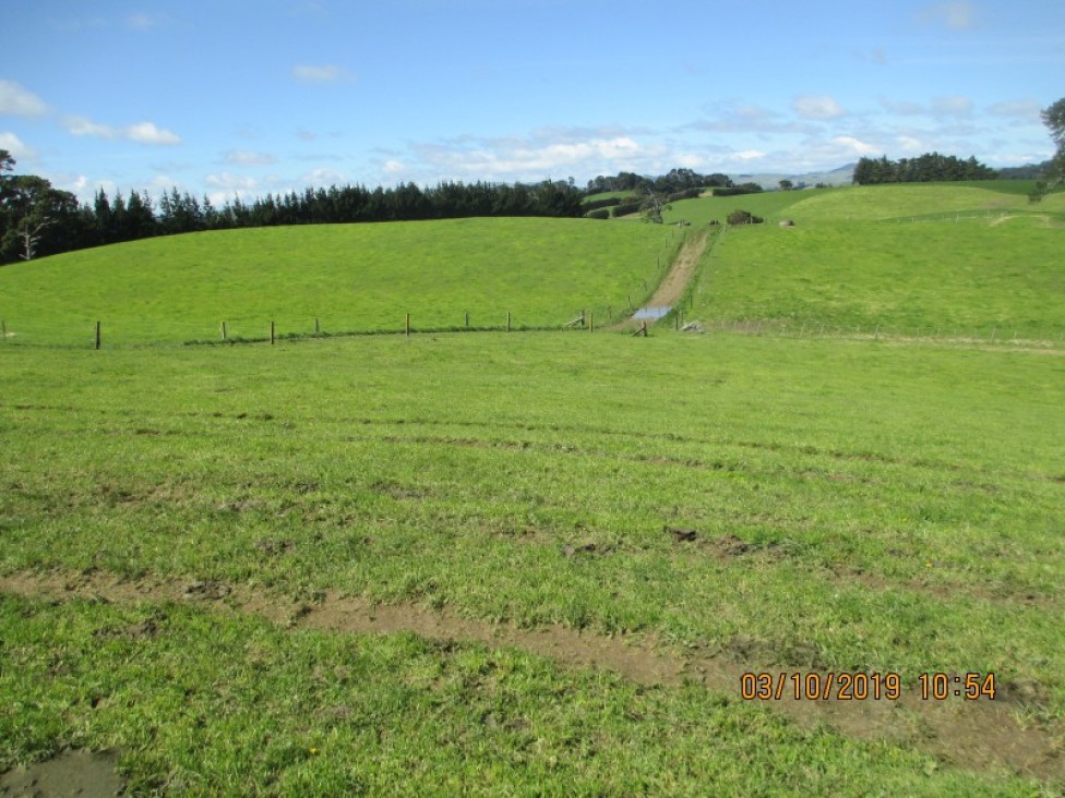 1 Kopua Road, Norsewood