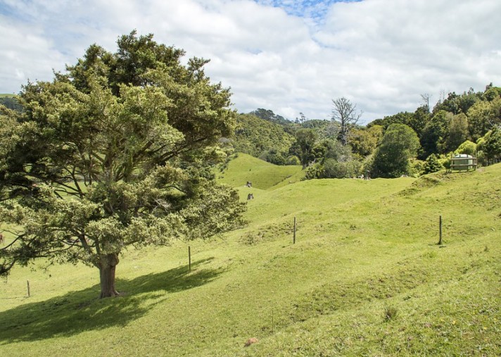42 and 34 Cemetery Road, Pollok