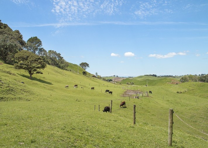 42 and 34 Cemetery Road, Pollok