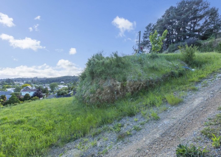 5 McCarthy Grove, Clouston Park