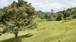 42 and 34 Cemetery Road, Pollok
