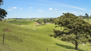 42 and 34 Cemetery Road, Pollok