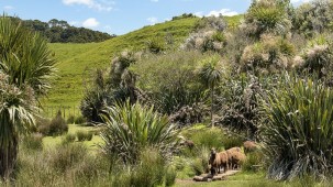 42 and 34 Cemetery Road, Pollok