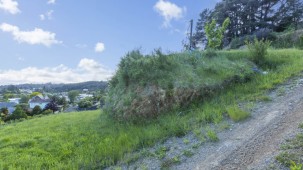 5 McCarthy Grove, Clouston Park