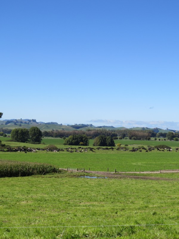 6261 State Highway 1, Upper Atiamuri