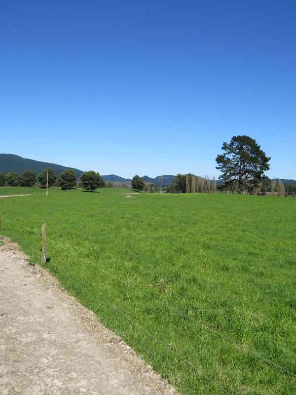 6261 State Highway 1, Upper Atiamuri