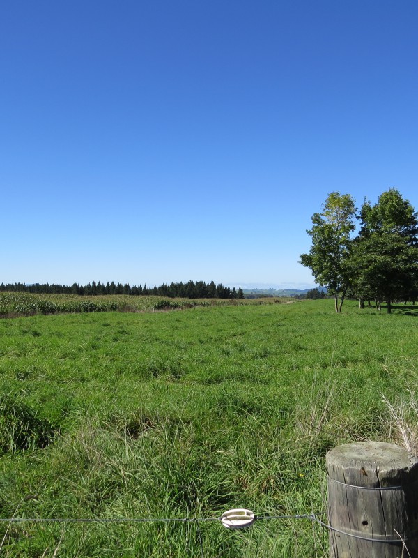 6261 State Highway 1, Upper Atiamuri