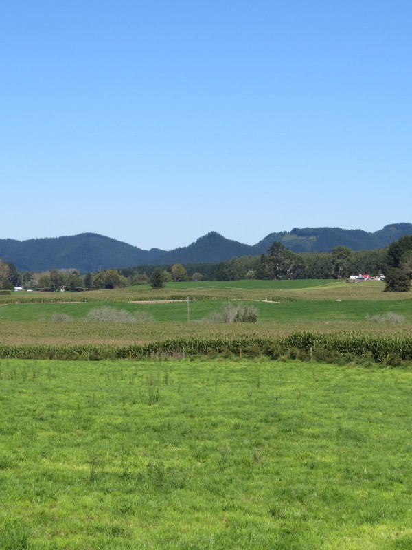 6261 State Highway 1, Upper Atiamuri