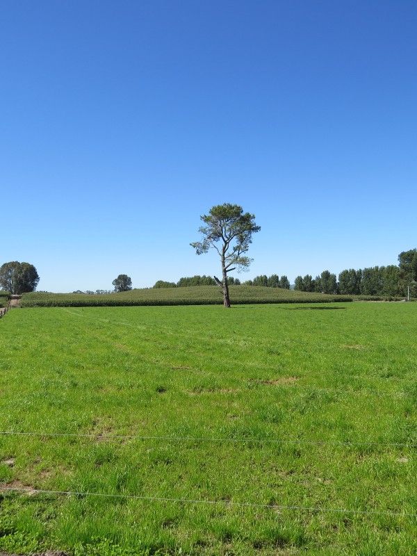 6261 State Highway 1, Upper Atiamuri