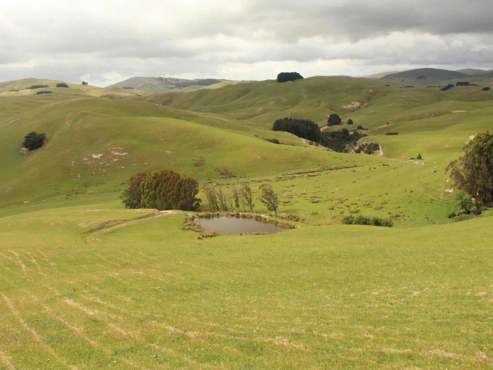 966 Oporae Road, Dannevirke