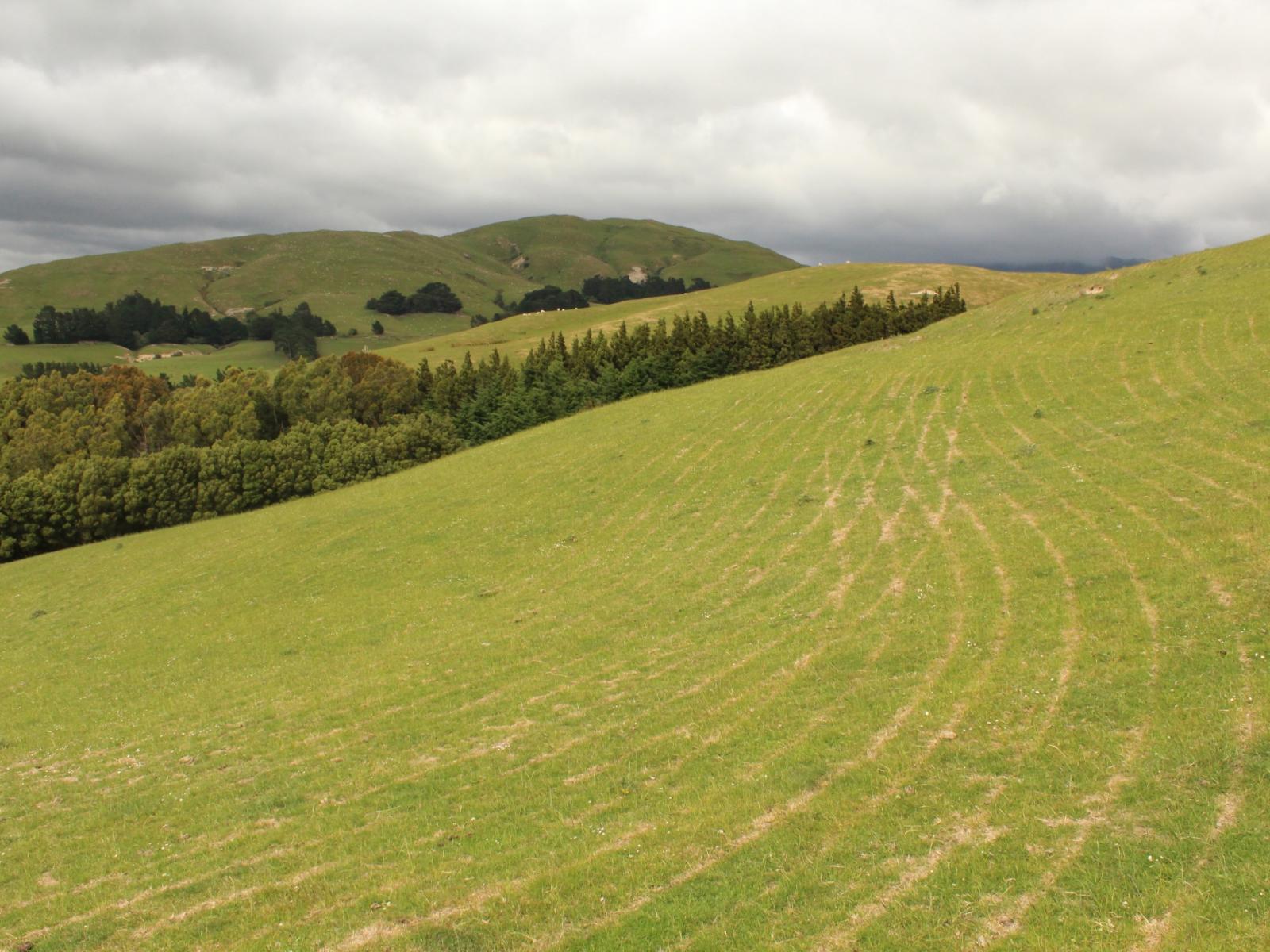 966 Oporae Road, Dannevirke