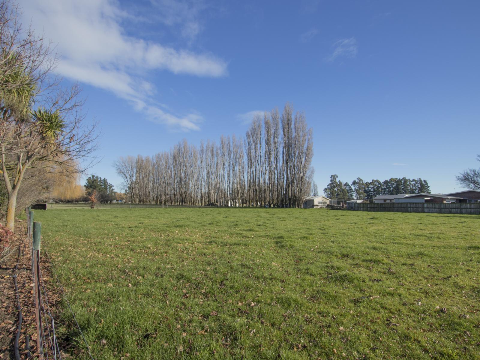 100 Wilkins Road, Tinwald