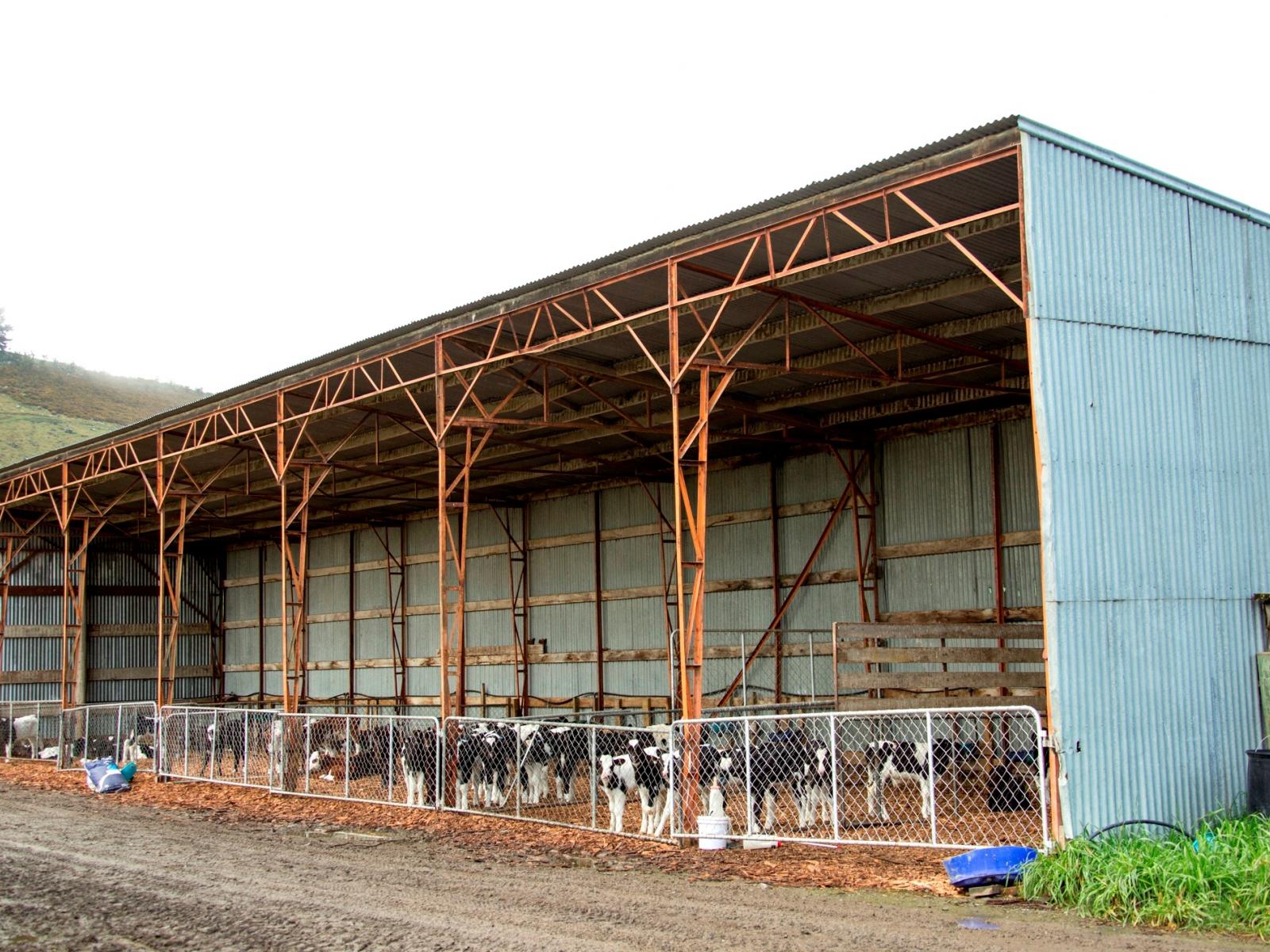 690 Taiko Road, Timaru