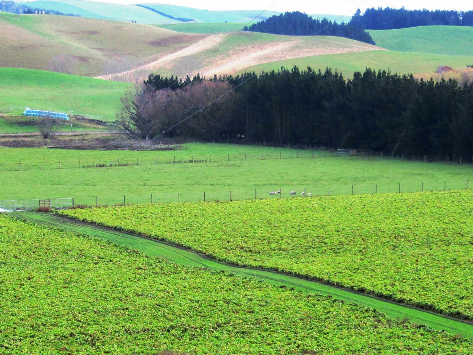 690 Taiko Road, Timaru