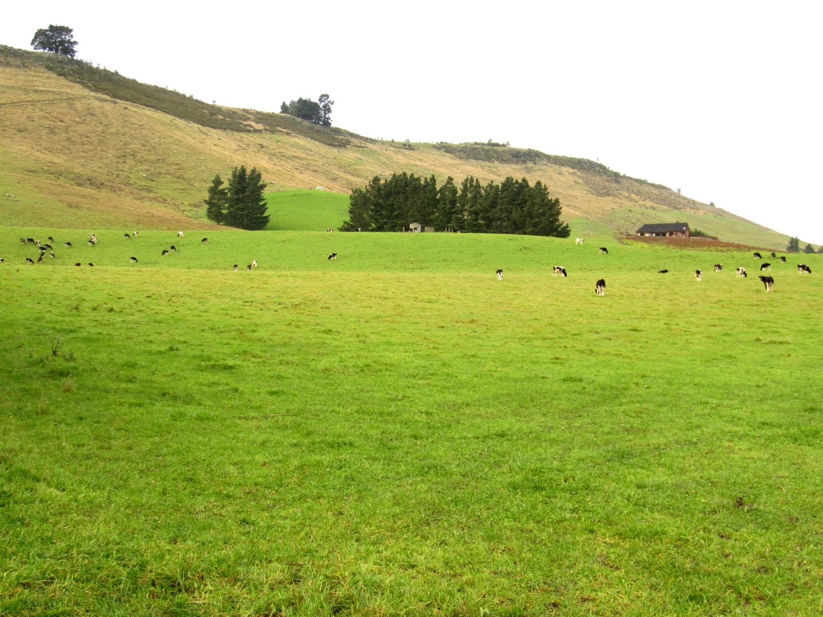 690 Taiko Road, Timaru