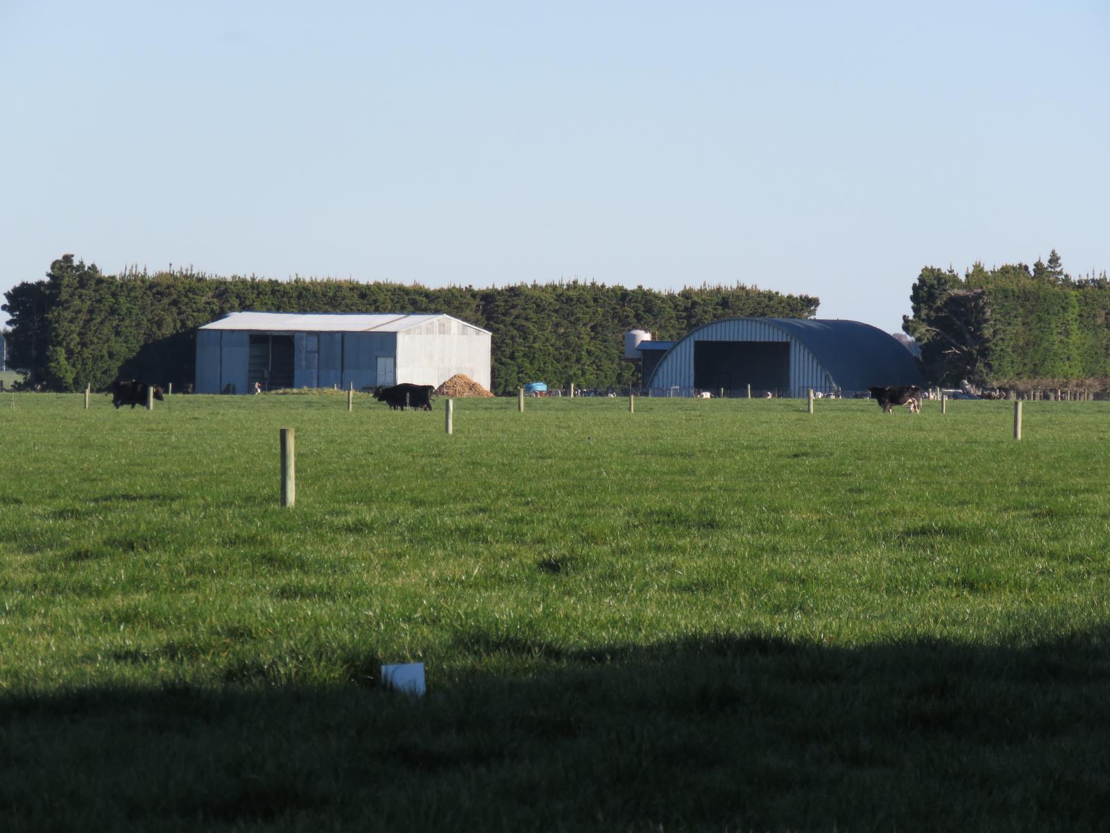 247 Woods Road, Methven