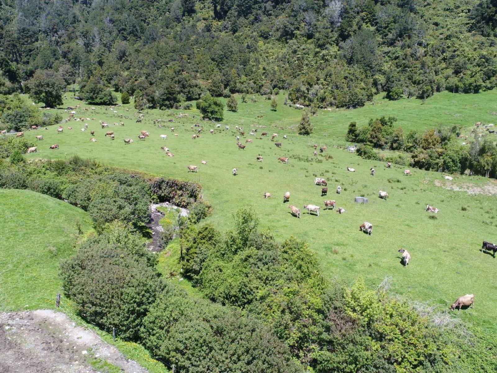 1638 Karamea Highway, Corbyvale,, Karamea