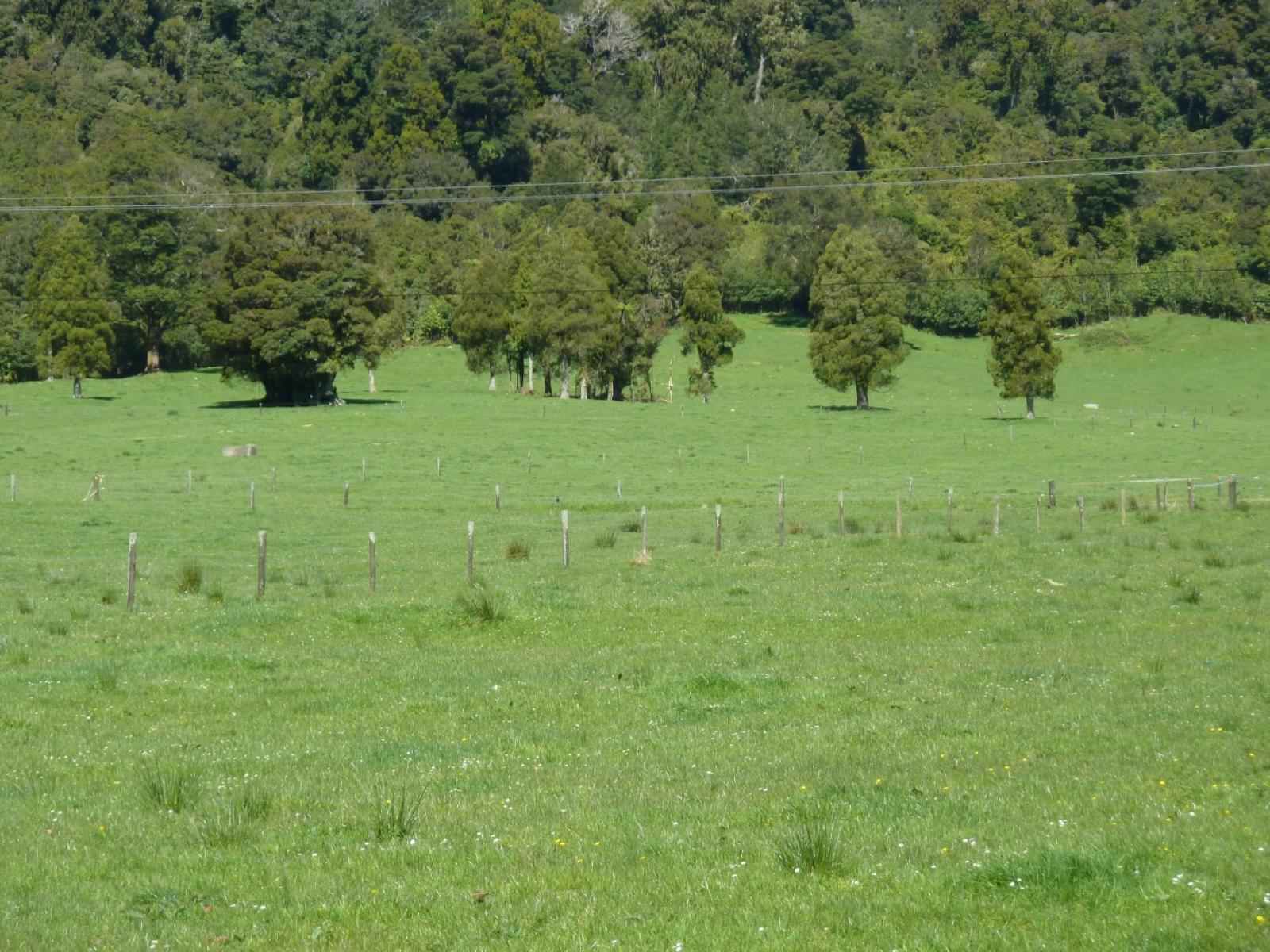 1638 Karamea Highway, Corbyvale,, Karamea