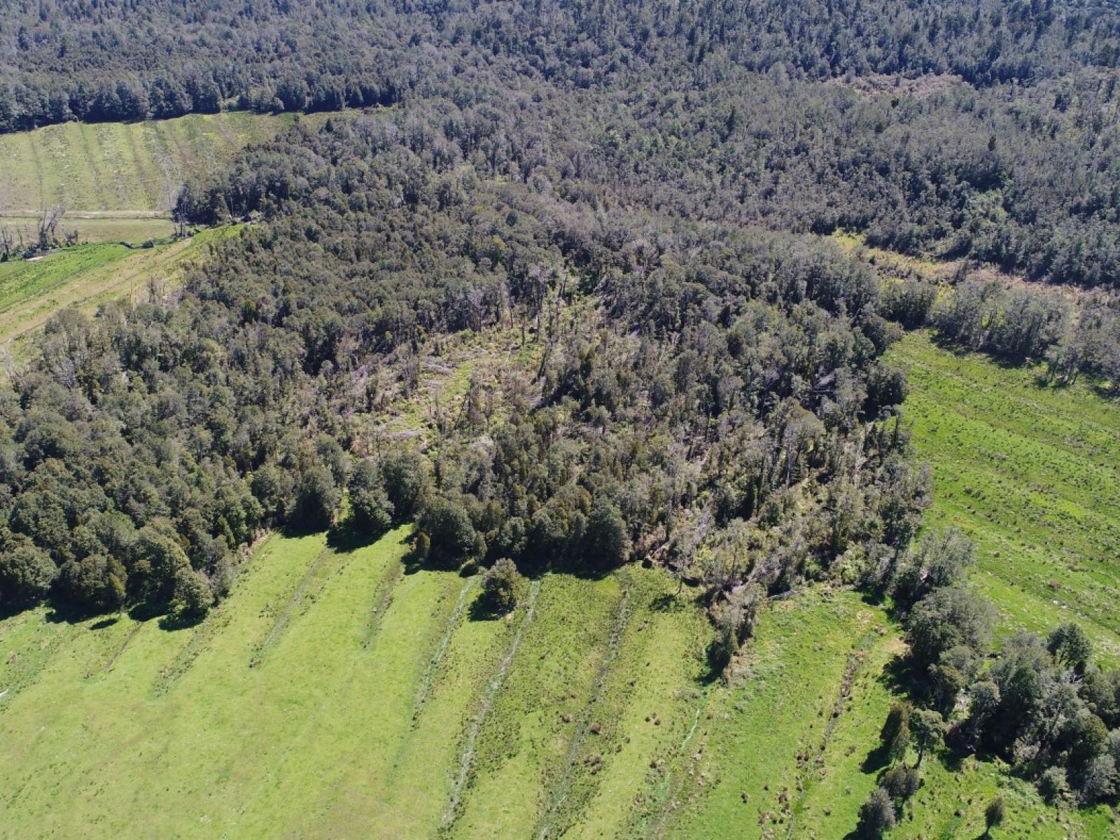 1638 Karamea Highway, Corbyvale,, Karamea