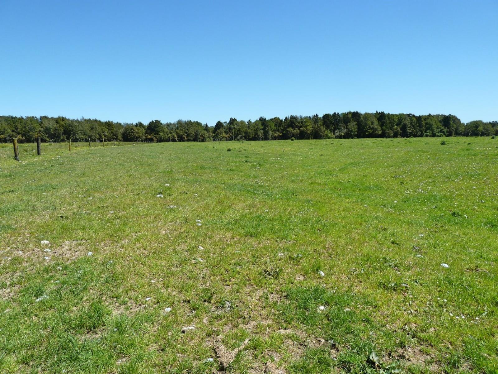 17 State Highway 67 Cape Foulwind, Westport