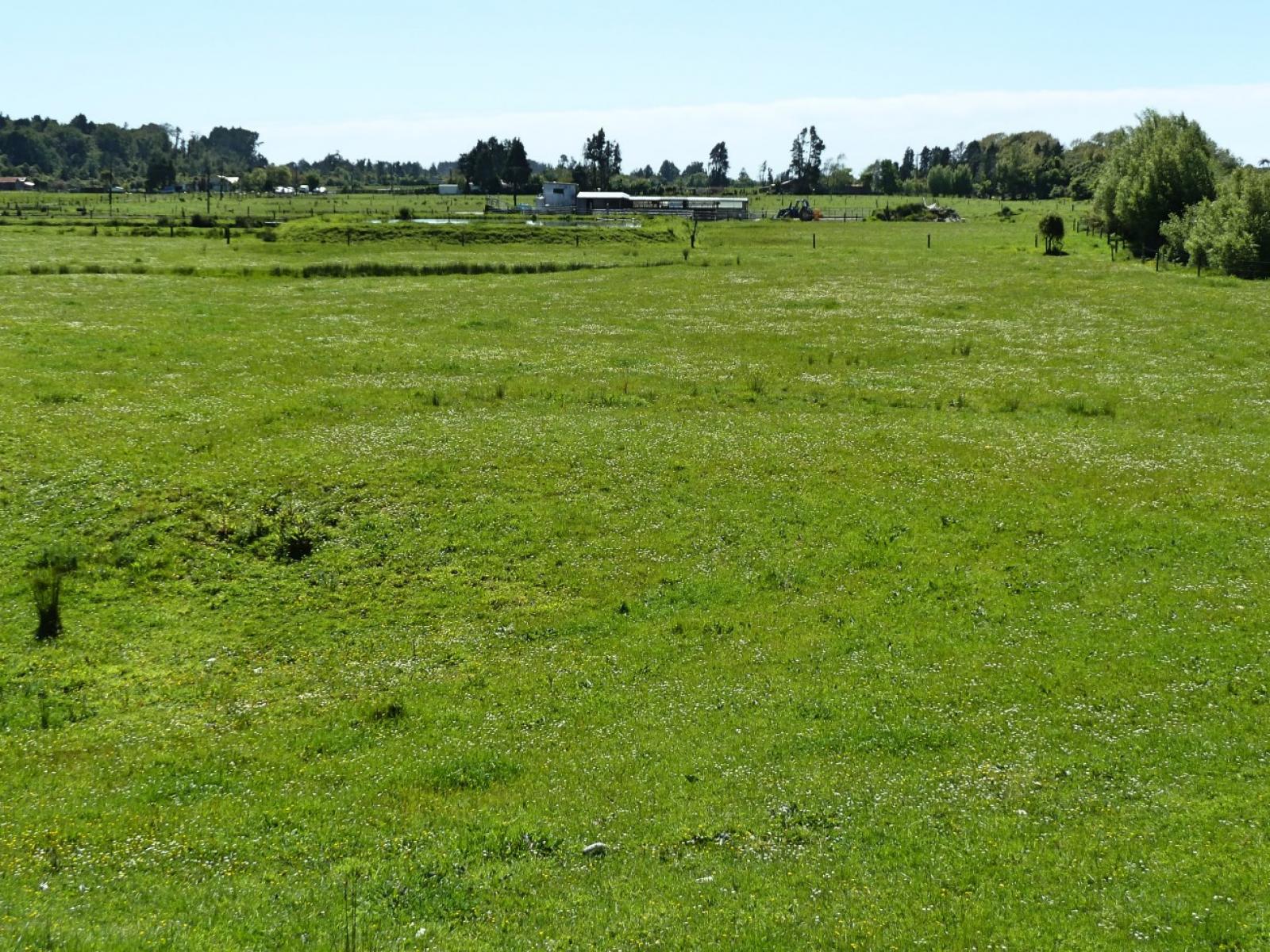 17 State Highway 67 Cape Foulwind, Westport