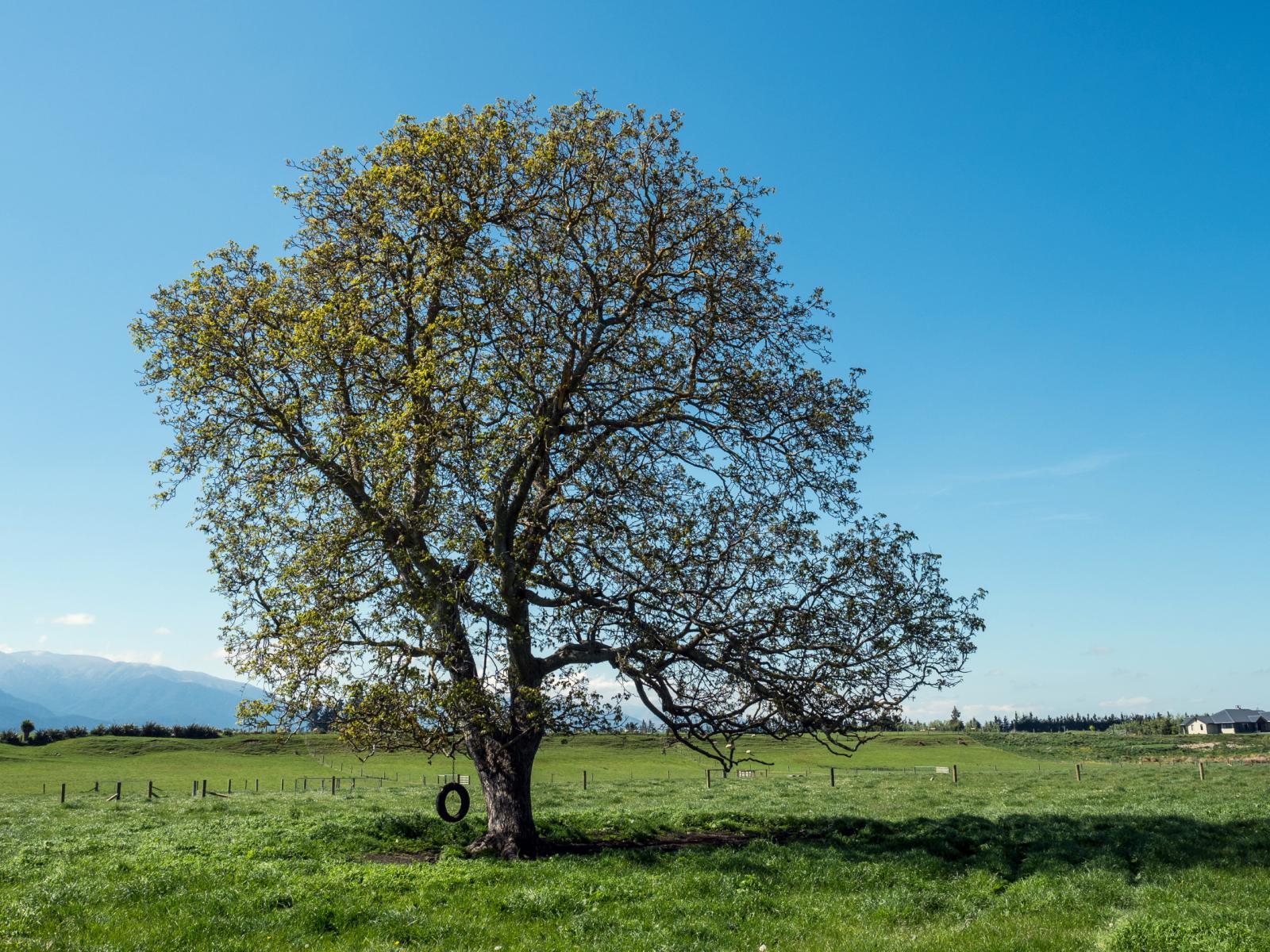Lot 4, Ashburton Gorge and Hoods Road, Mount Somers