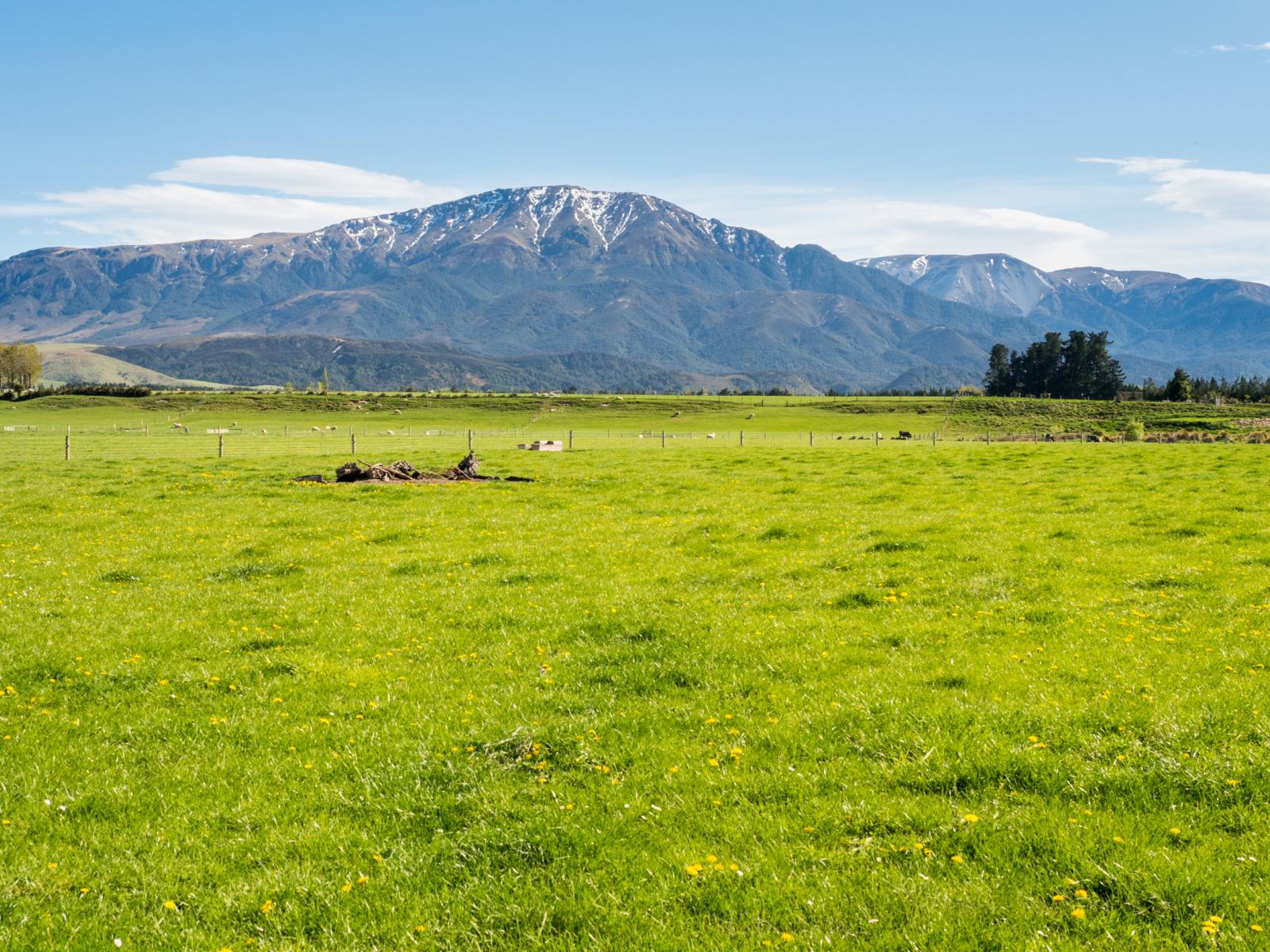 Lot 4, Ashburton Gorge and Hoods Road, Mount Somers