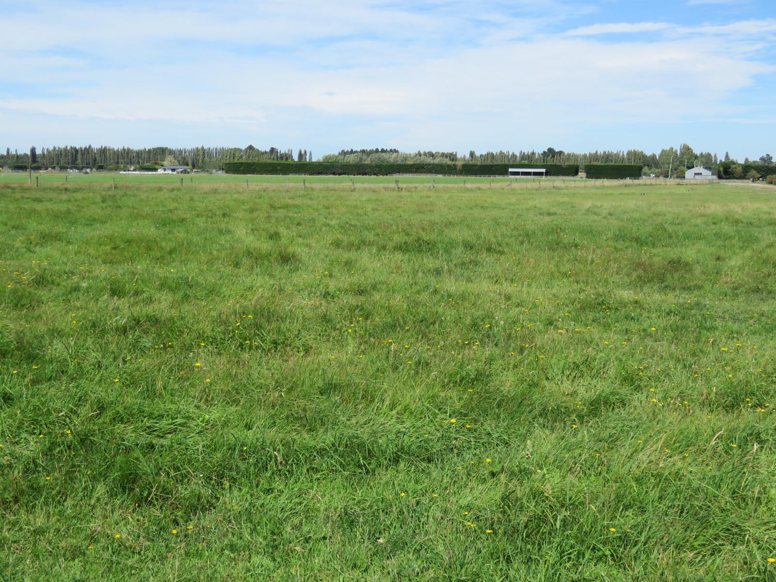 552 Methven Highway, Winchmore