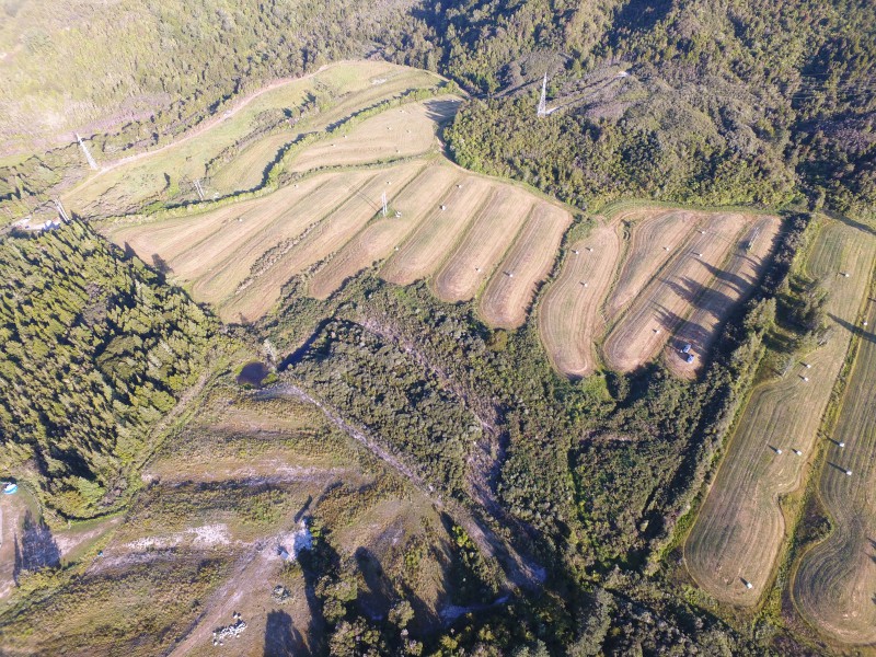 1255 State Highway 67, Waimangaroa