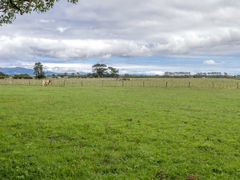 213 Hokio Beach Road, Levin