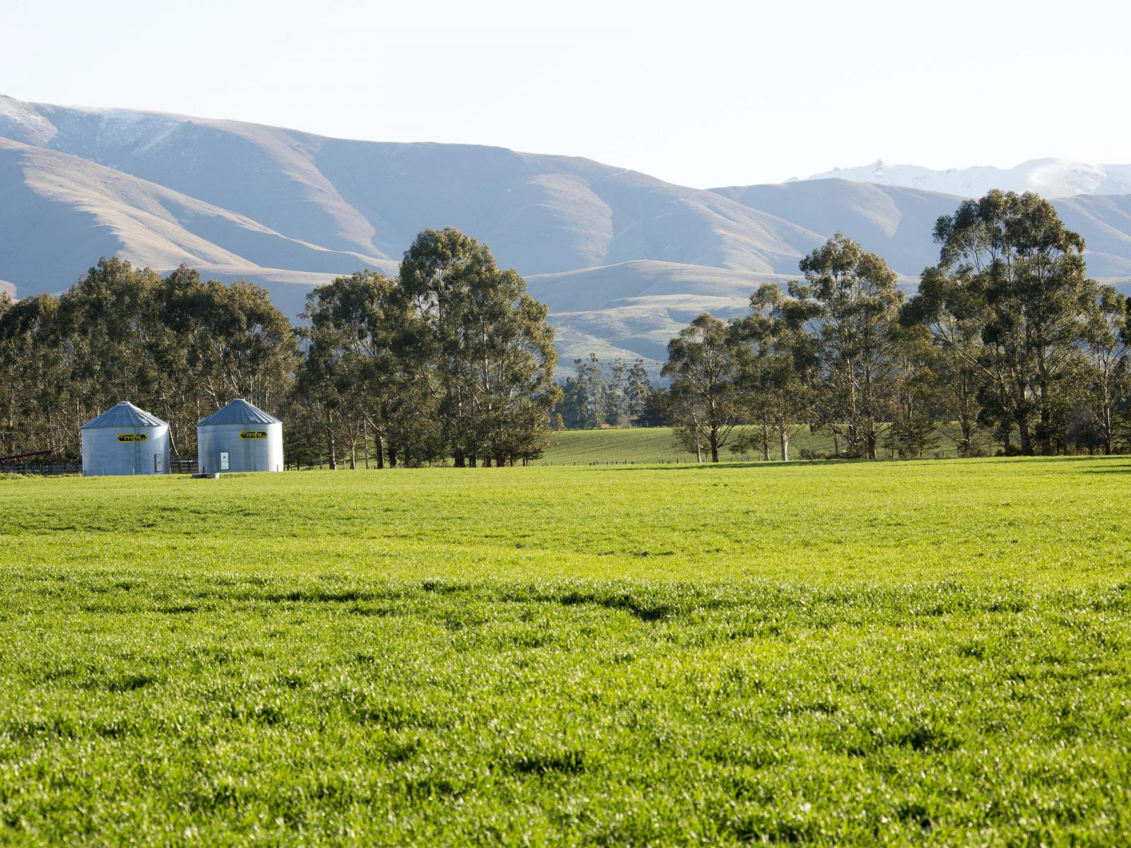 761 Mt Nessing Road, Albury
