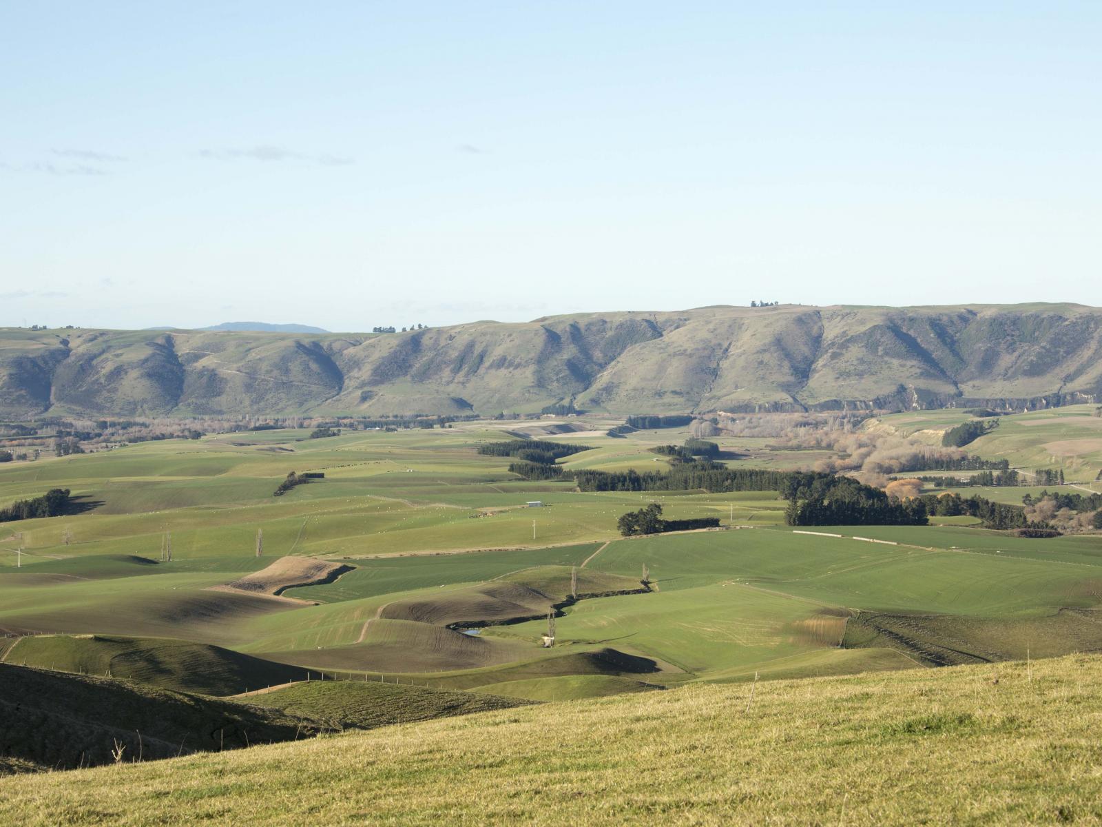 761 Mt Nessing Road, Albury