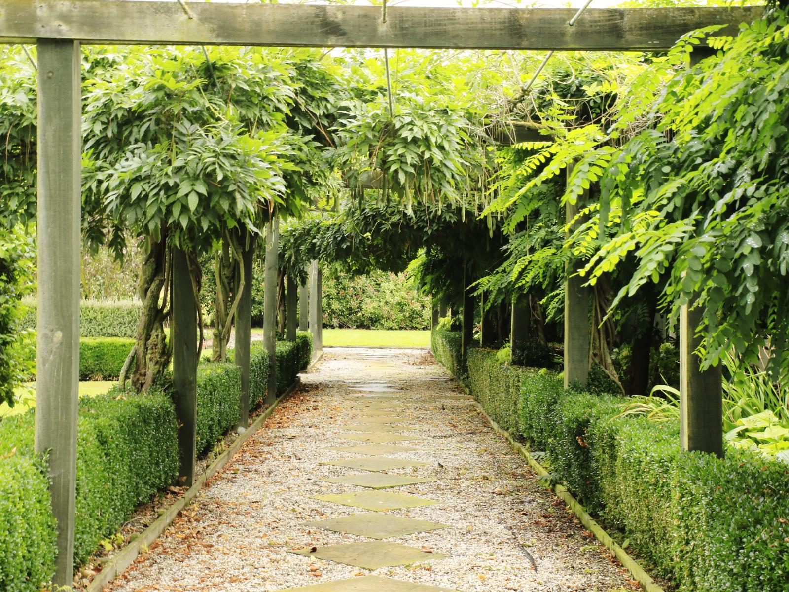 61 Albert Street, Netherby