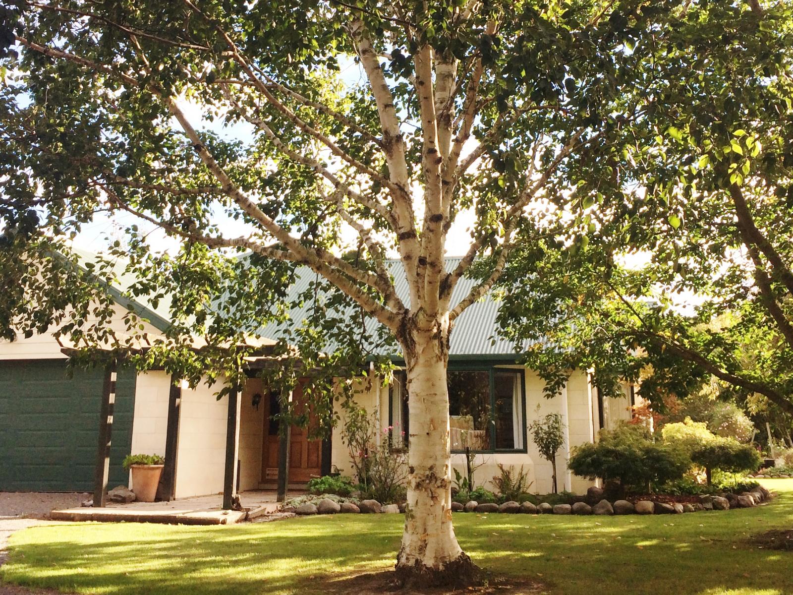 61 Albert Street, Netherby