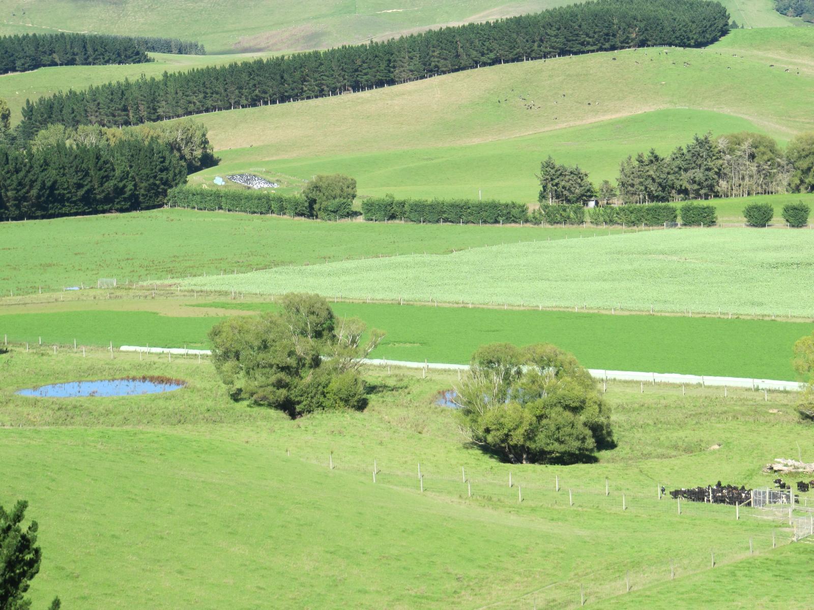 46 Taiko Hall Road, Taiko
