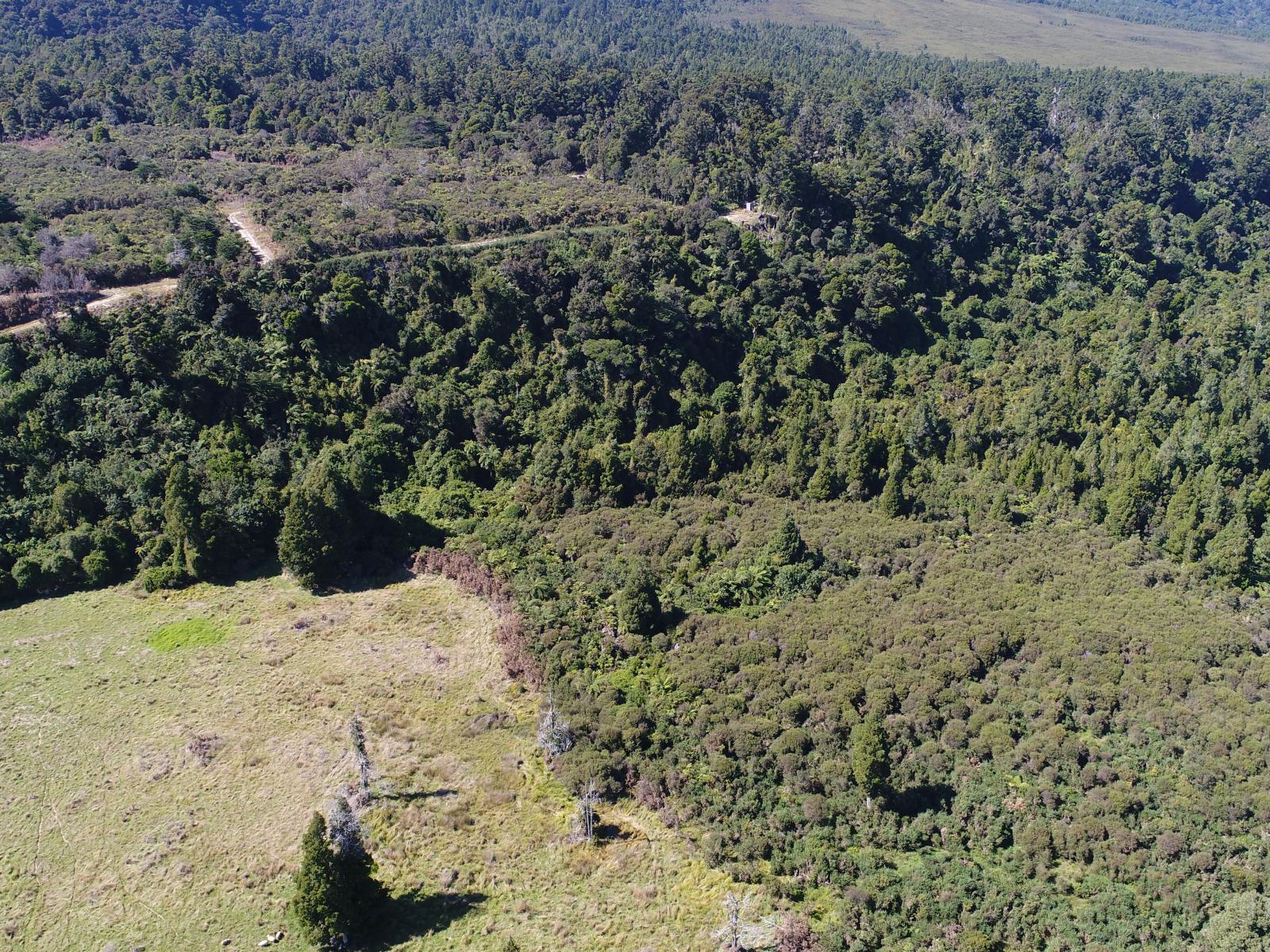 4, State Highway 67, Birchfield