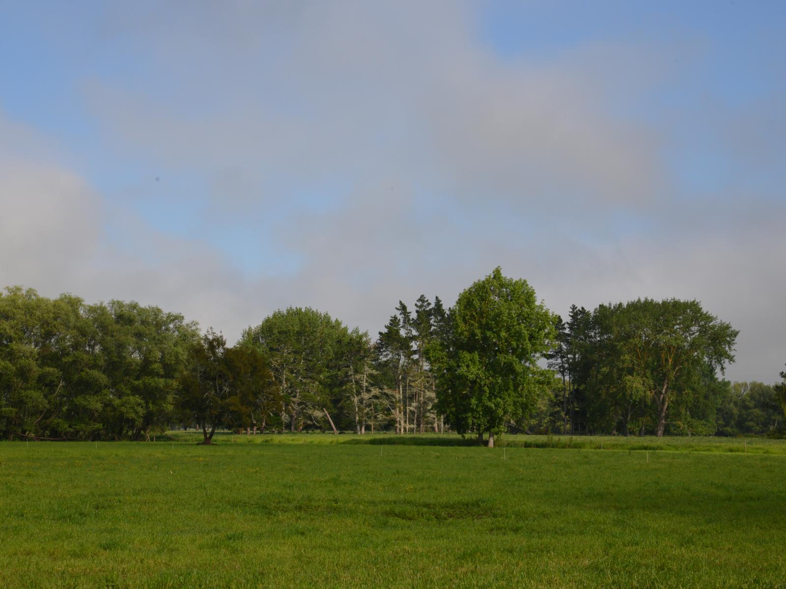 614 Whatawhata Road, Whatawhata 