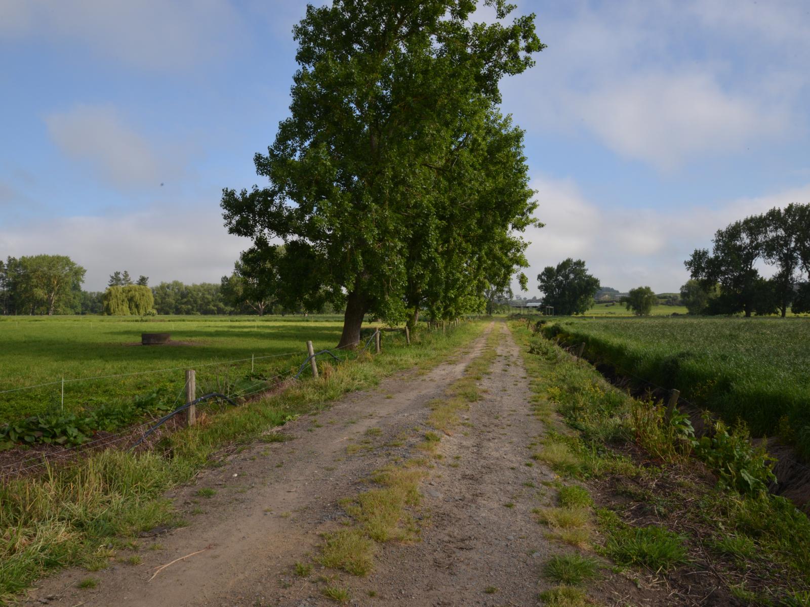 614 Whatawhata Road, Whatawhata 