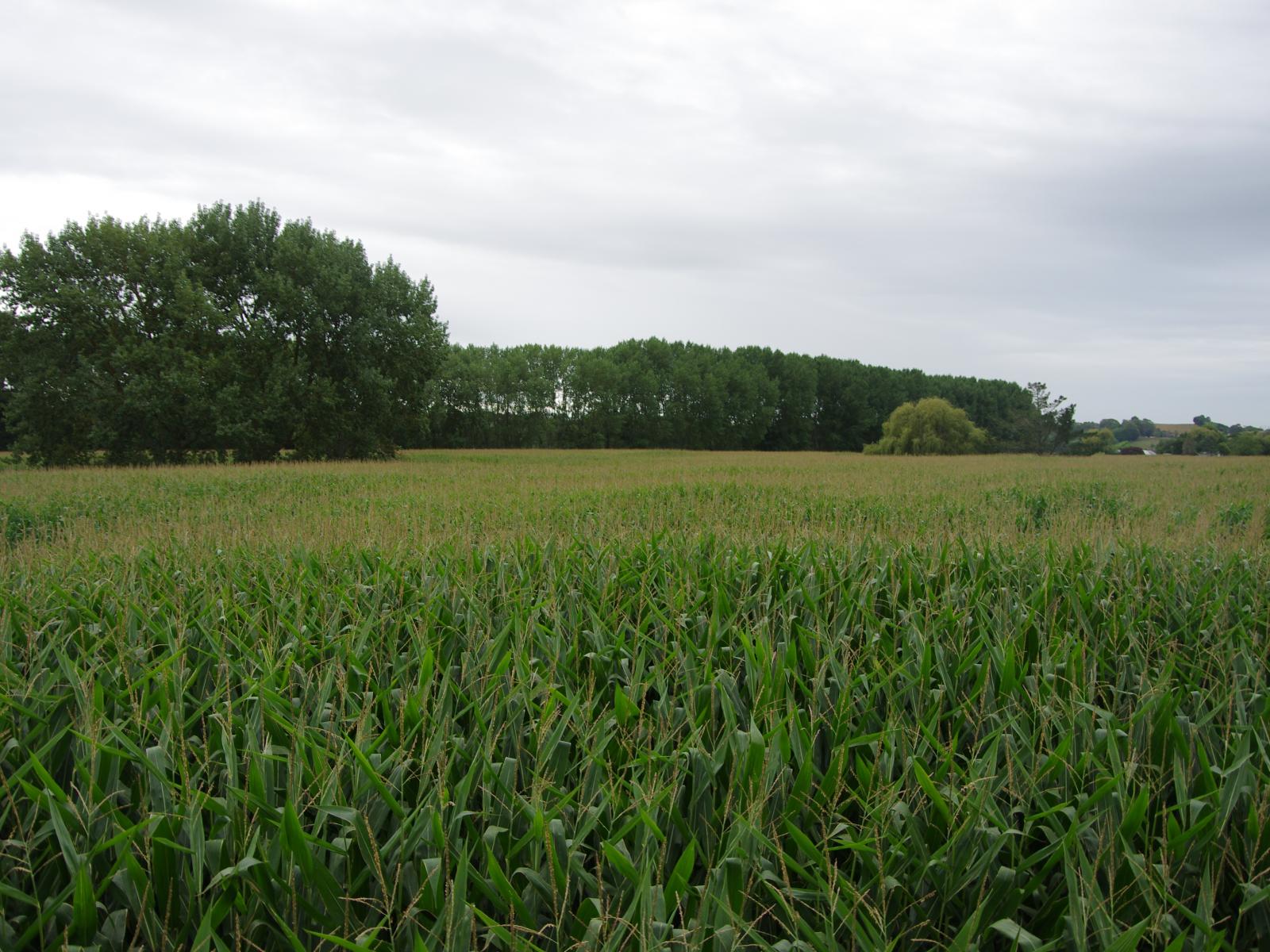 614 Whatawhata Road, Whatawhata 