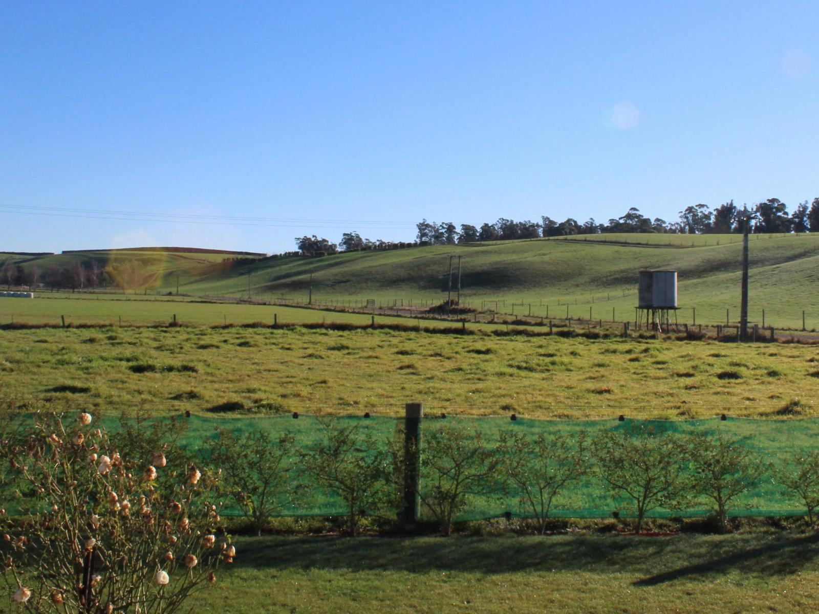 335 Rosewill Valley Road , Rosewill