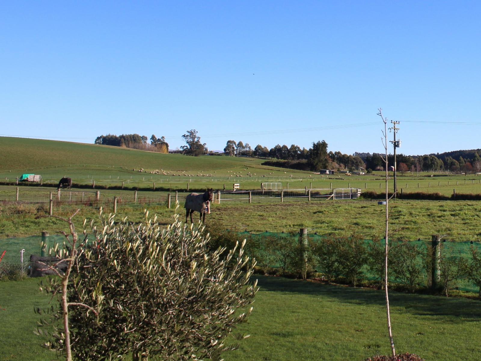 335 Rosewill Valley Road , Rosewill