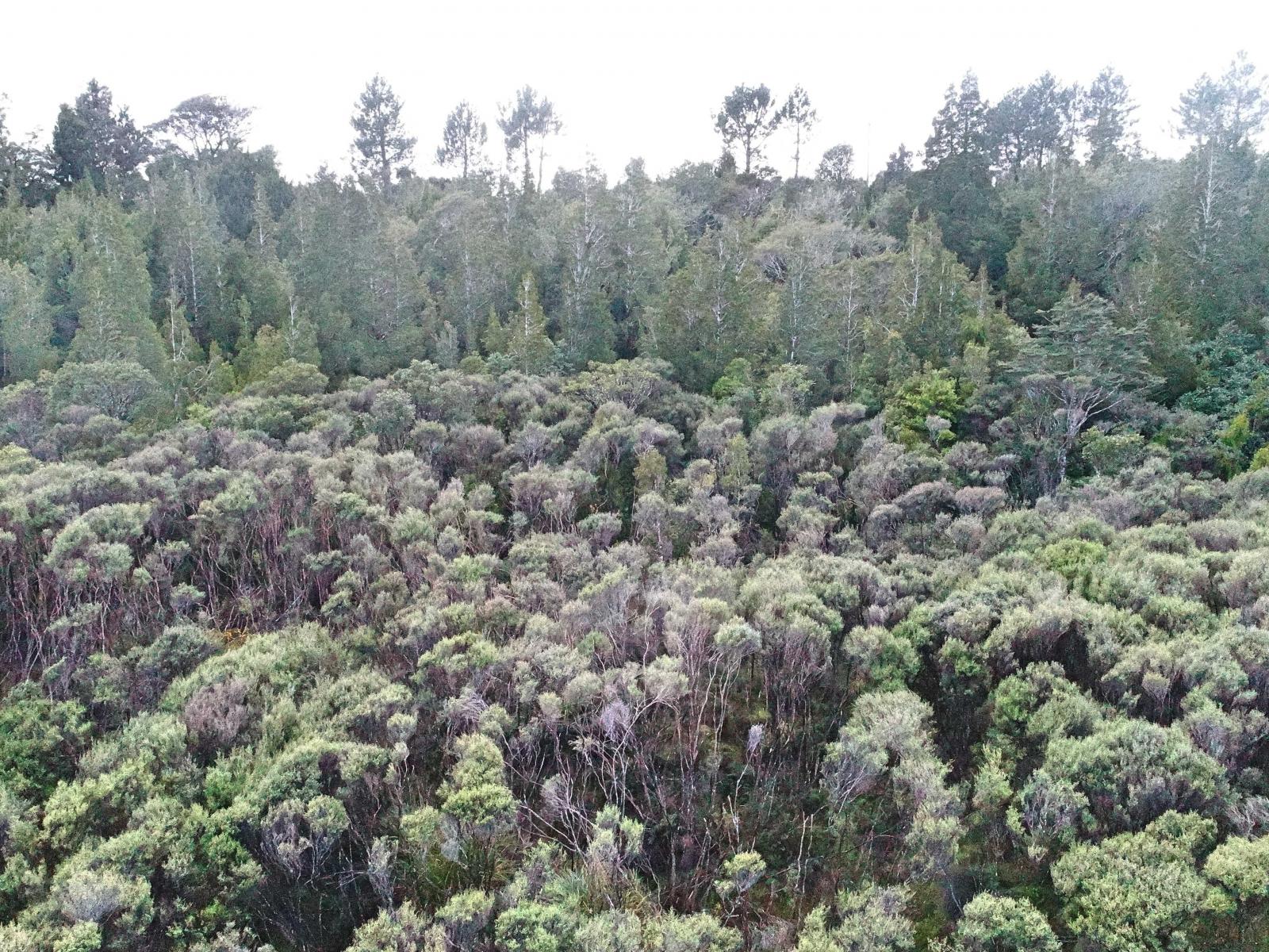 1, 8200 State Highway 6, Charleston