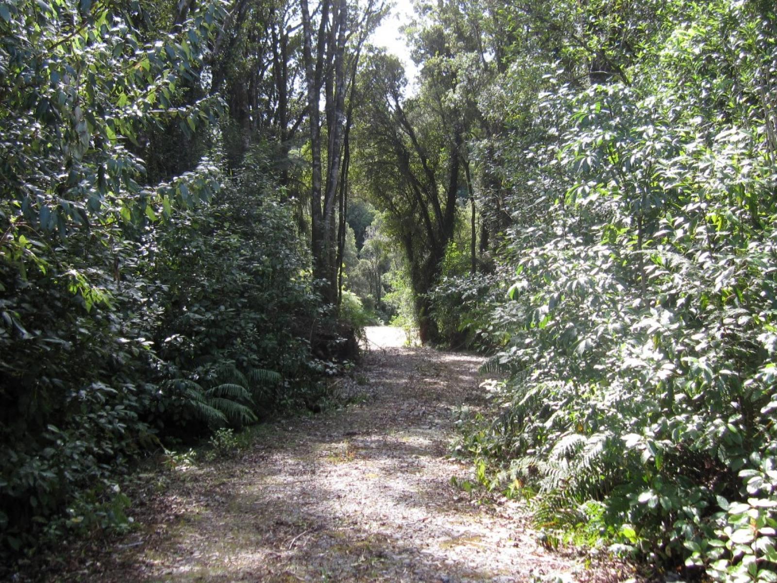 525 Rutherglen Road, Marsden