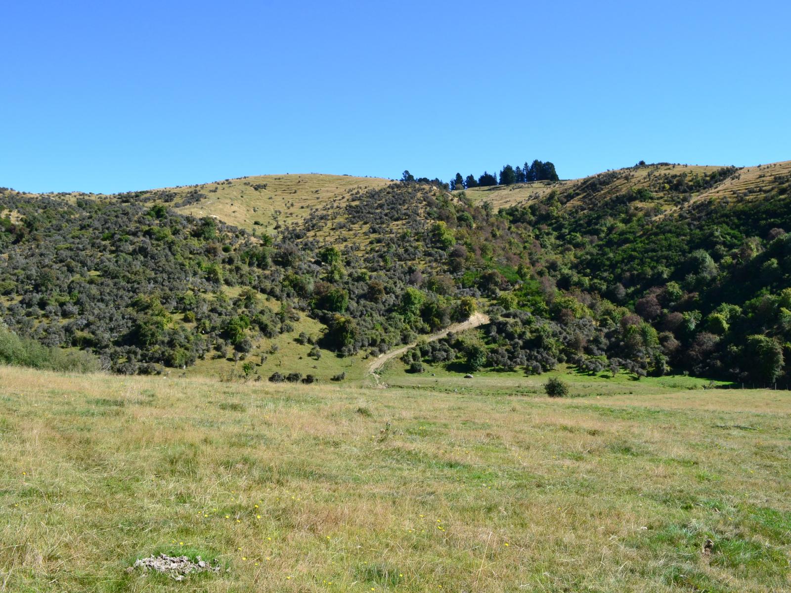 86 West-Maerewhenua Road, Oamaru