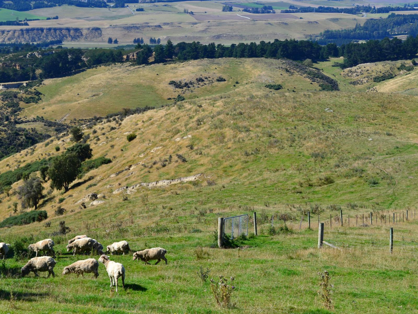 86 West-Maerewhenua Road, Oamaru