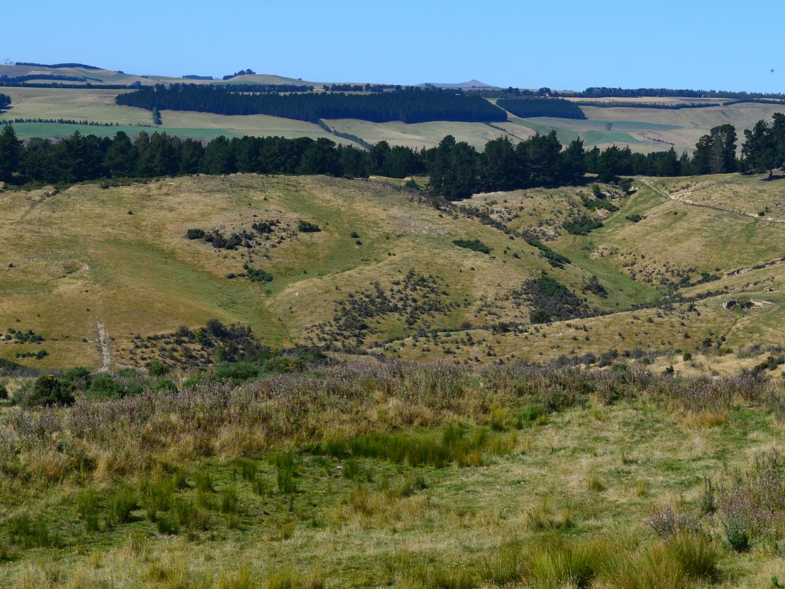 86 West-Maerewhenua Road, Oamaru